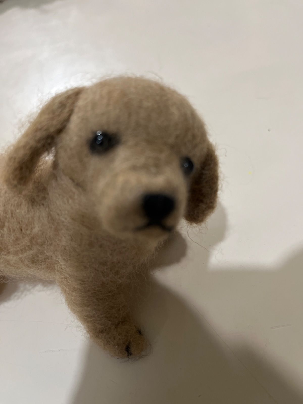 いぬ様確認用 羊毛フェルト yusaso様確認用 ミニチュアダックスフンド