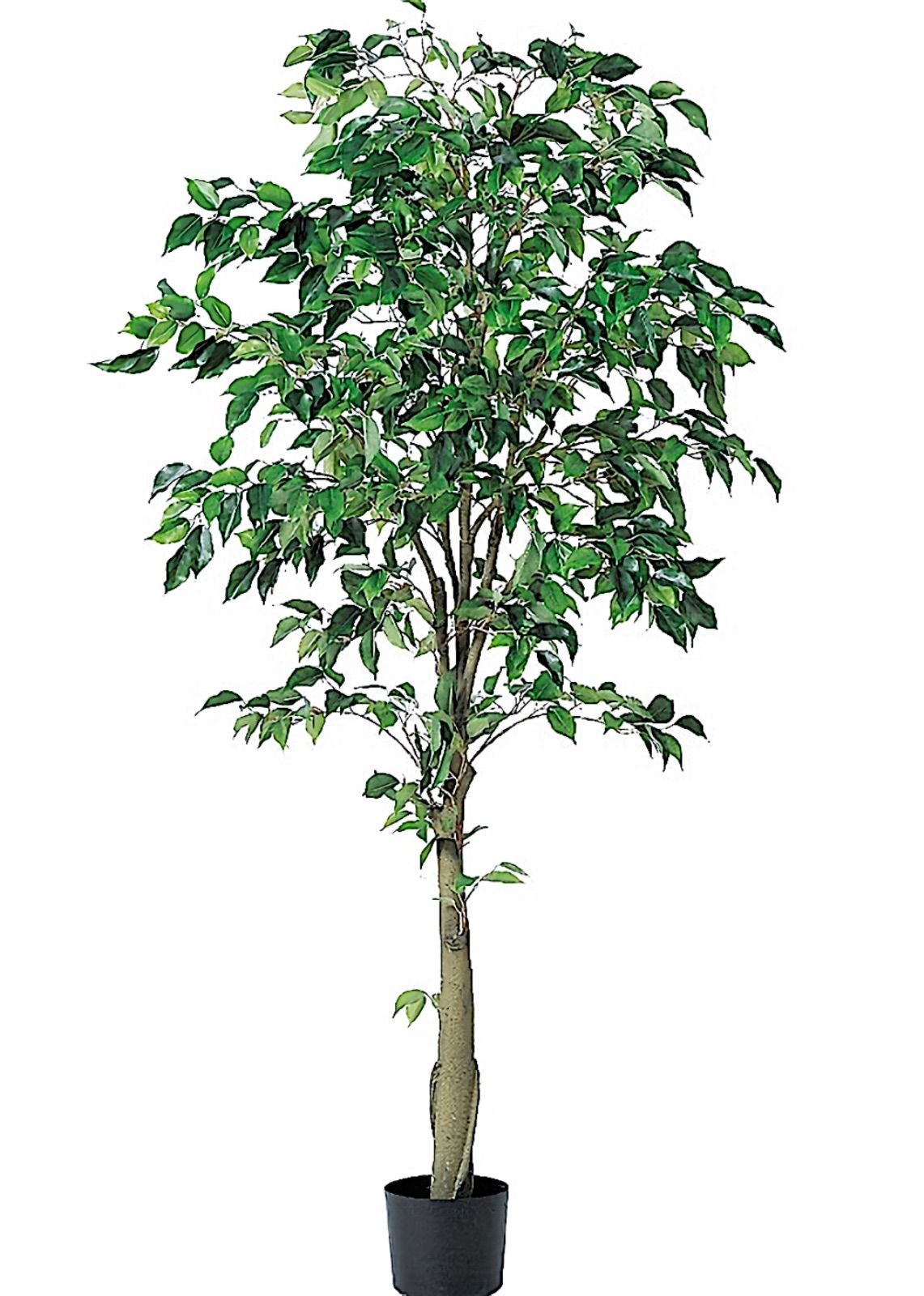 光触媒　人工観葉植物　ウォールグリーン　フェイクグリーン　フィカスツリー152苔♯園芸