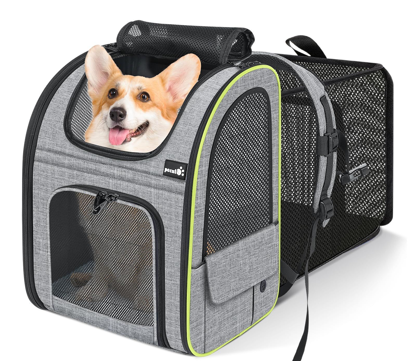 ペキュート Pecute ペット キャリーバッグ 猫用 犬用 リュック メッシュ窓 通気性 拡張 2WAY ペットハウス ケージ 折り畳み お出かけ ドライブ 旅行 通院 防災 避難用 キャリー グレー L
