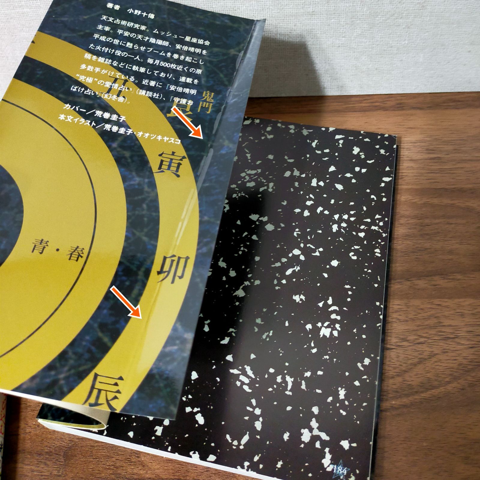 安倍晴明秘伝まじない術 「闇の書」&「光の書」(2冊セット