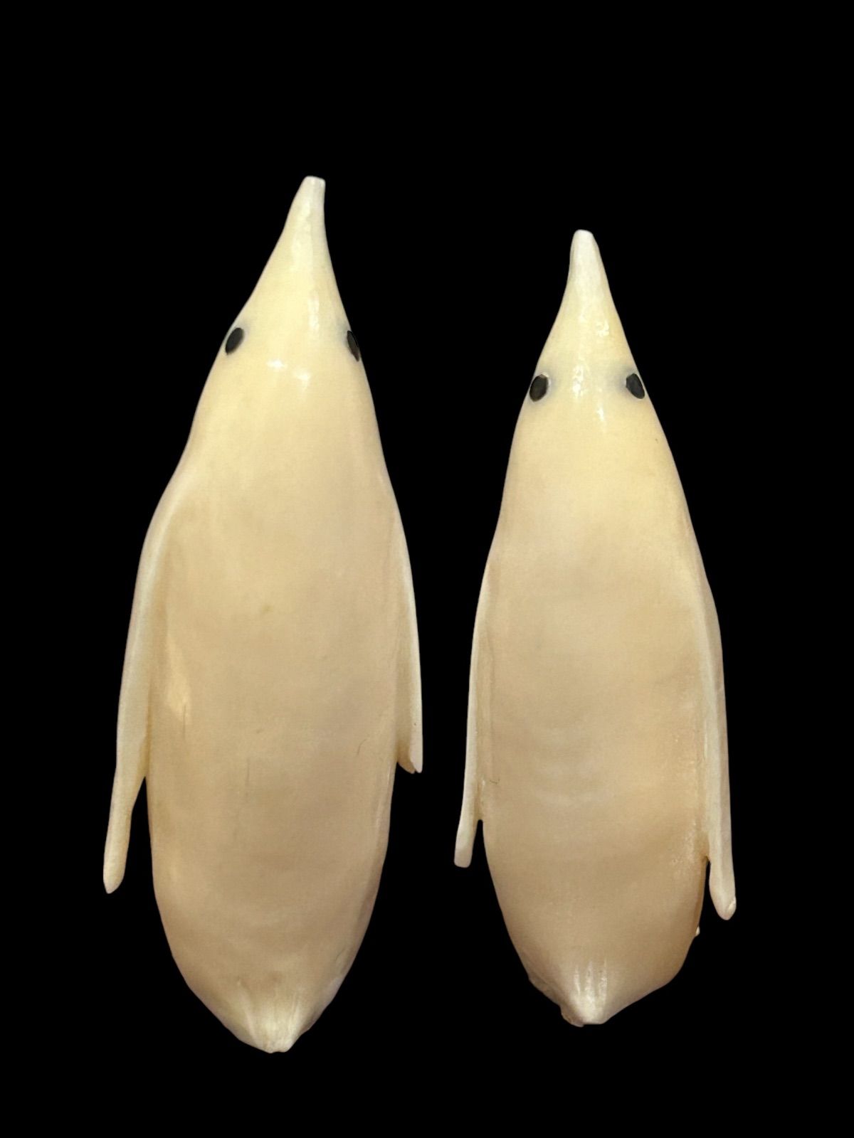 鯨歯工芸品 マッコウ鯨歯 ヴィンテージ アンティーク ネックレス