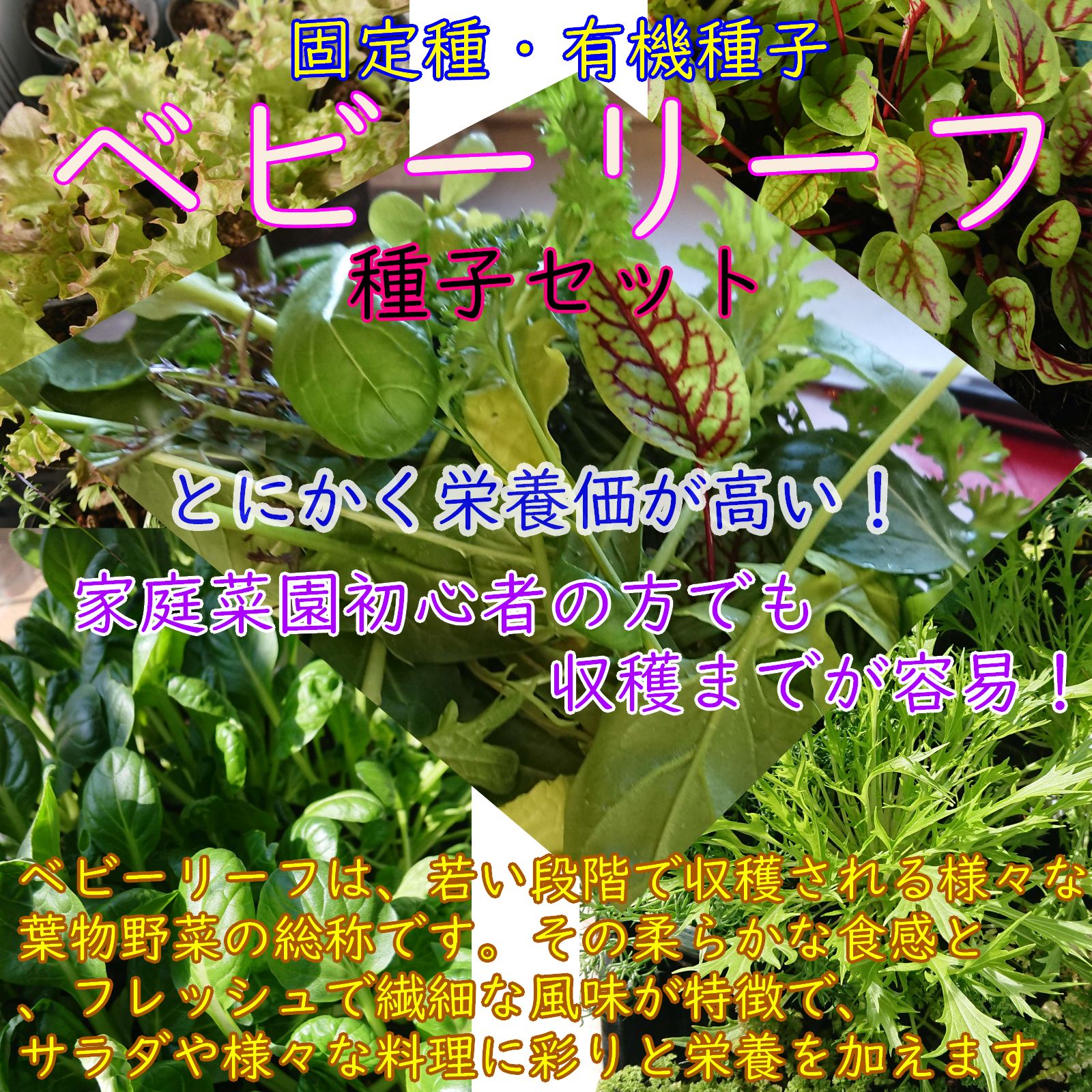 🌷𝒮𝓅ℯ𝒸𝒾𝒶𝓁𝒮ℯ𝓉🌷】ベビーリーフ オリジナルMix（10種） 野菜の種 種子 種 サラダ 家庭菜園 固定種 有機種子 -  メルカリ