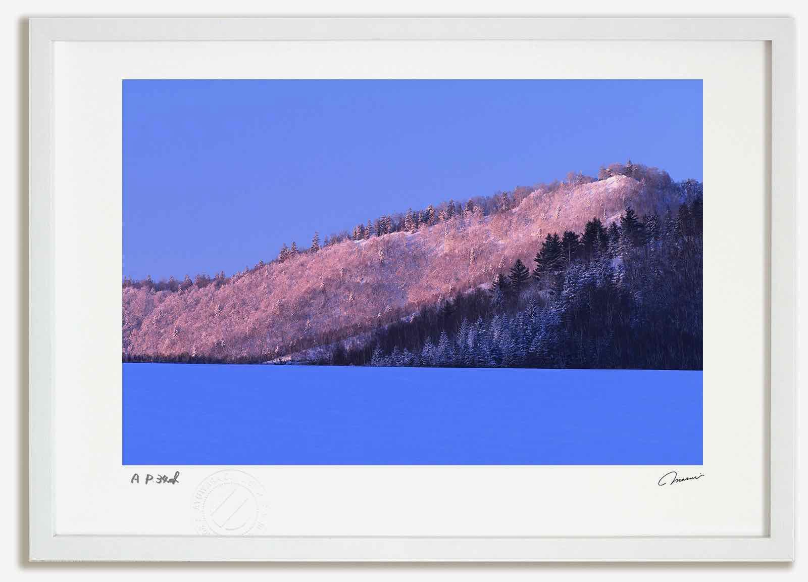 アートフォト 絵画 丘の虹1 高橋真澄/インテリア 額入り 額装込 風景画