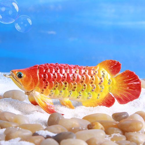 EX801 アロワナ 紅龍 Sサイズ  【ピィアース正規品】 アジアアロワナ レッド 熱帯魚 小物入れ おしゃれ 収納 アクセサリーケース 置物 インテリア 雑貨 かわいい 動物 グッズ 東京銀座PICALS ピ