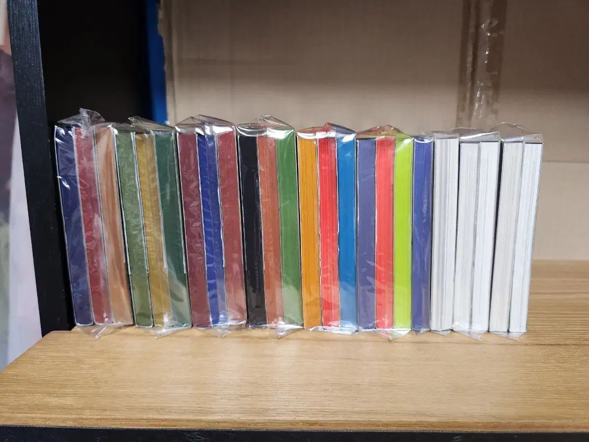 xxx ホリック リーディングブック 려 収集品用