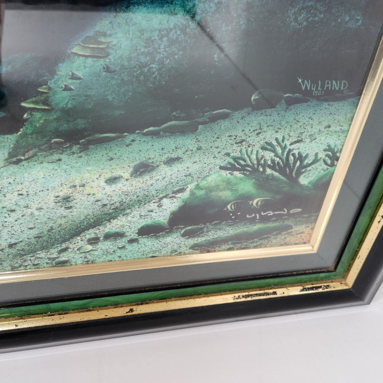 ワイランド/Robert Wyland チルドレンオブザシー 46/250 Children Of The Sea – Wyland Worldwide