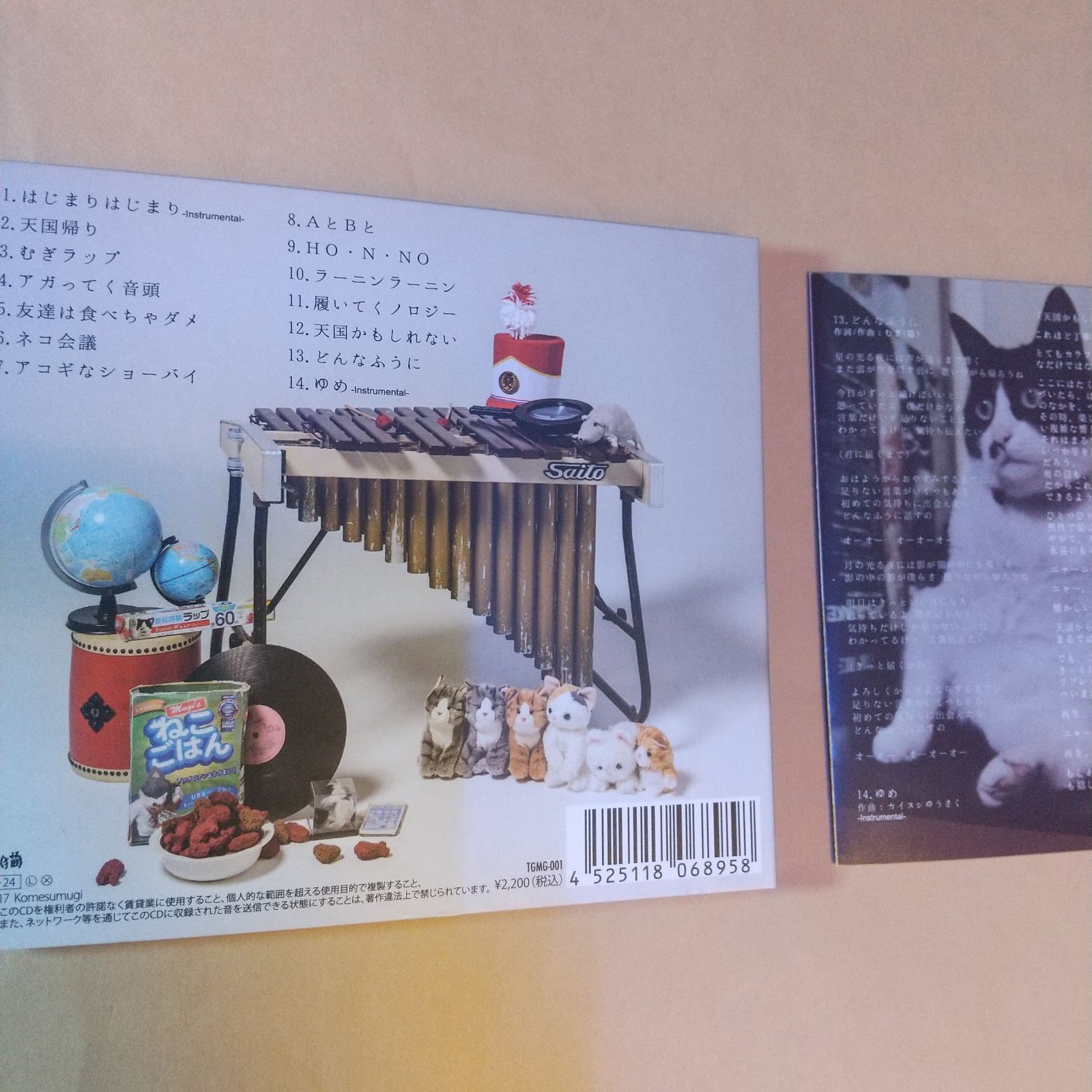 むぎ(猫) 天国かもしれない - メルカリ