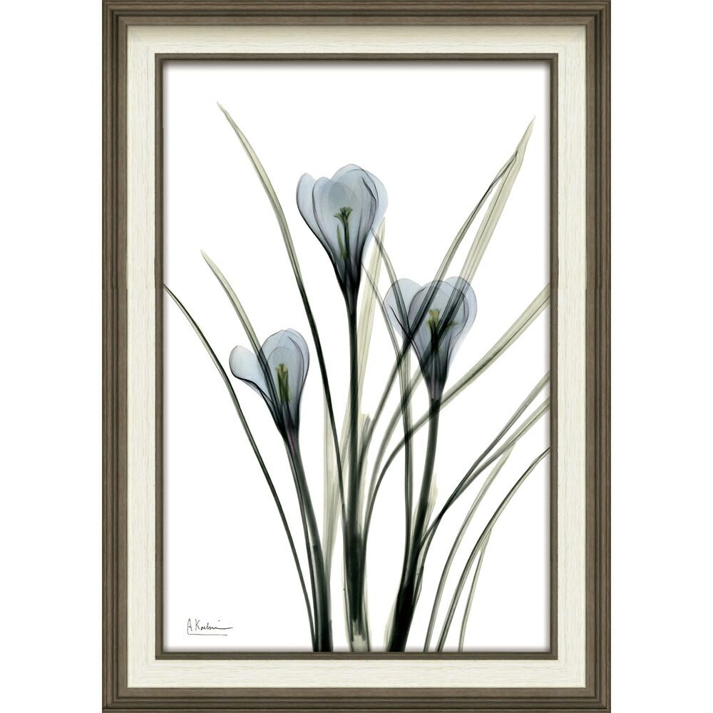 絵画 XRAYキャンバスアート「クロッカス（Mサイズ）」 レントゲンアート フレーム付き インテリア リビング 玄関 寝室 部屋に飾る 植物 花 プレゼント ギフト アートパネル 壁飾り 額装済 LL