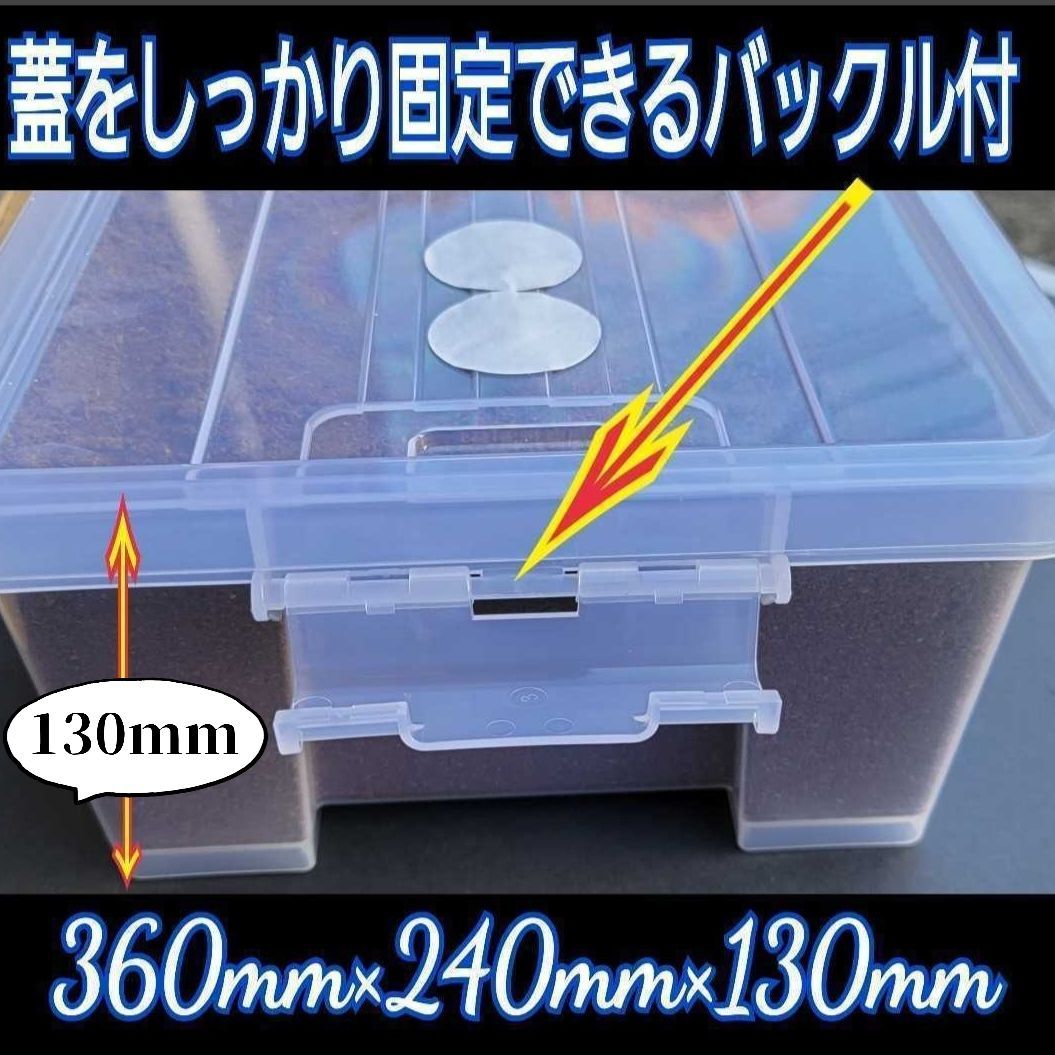 カブトムシの幼虫を入れるだけ！ 便利です！ケースにマットが入って