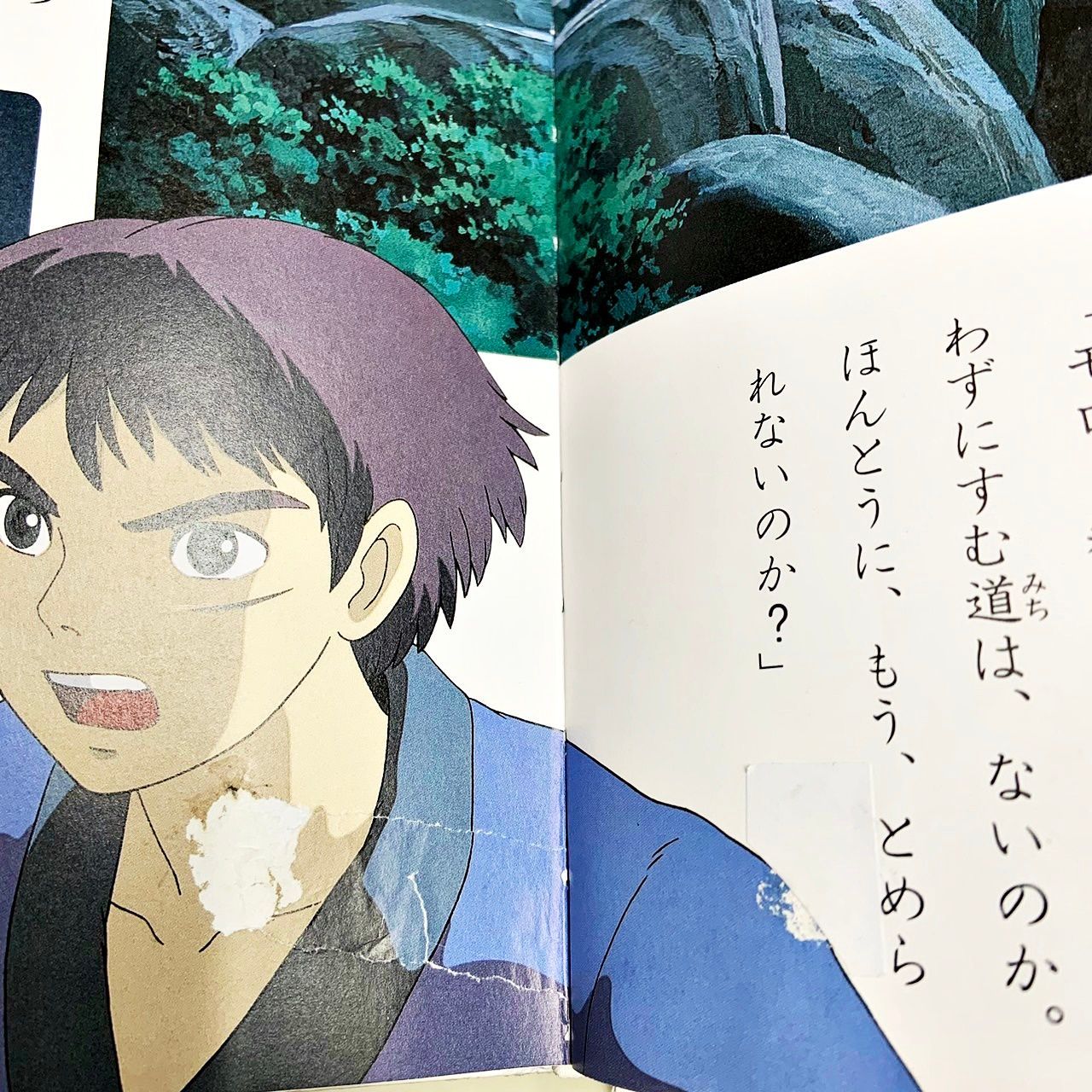 アニメ絵本 21冊セット ナウシカ、ラピュタ、トトロ、魔女の