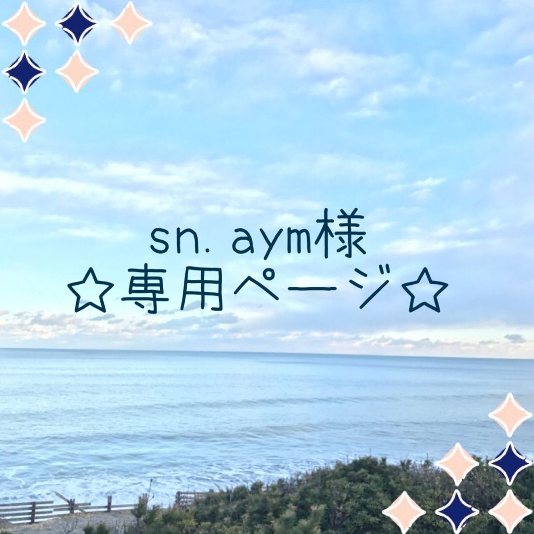 sn.aym様 線☆専用ページ☆ - メルカリ