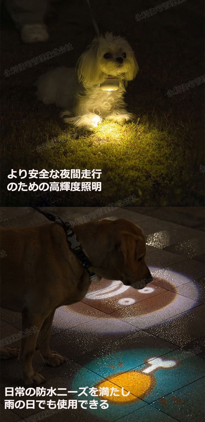 セーフティーライト リード