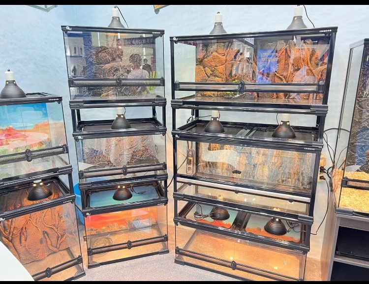爬虫類用品卸 爬虫類飼育ガラスケージ両生類飼育ケージ603030(cm)送料込み 爬虫類両生類飼育ケージ、組み立て式 ガラス飼育ケージ
