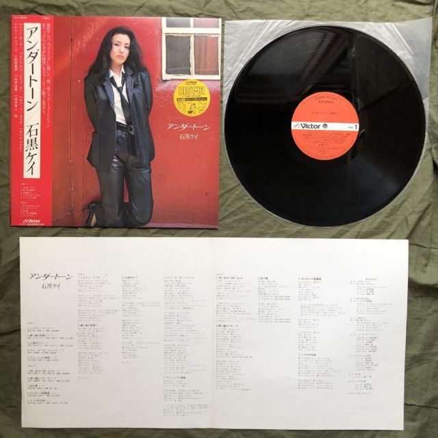 レア貴重盤多数！シティポップ LPレコードまとめ15枚 シンガーソングライター編 レア貴重盤多数！シティポップ LPレコードまとめ15枚 シンガーソング