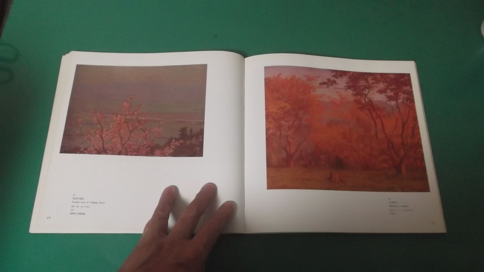 出M9673☆ 図録 高島野十郎展 1988年 - メルカリ