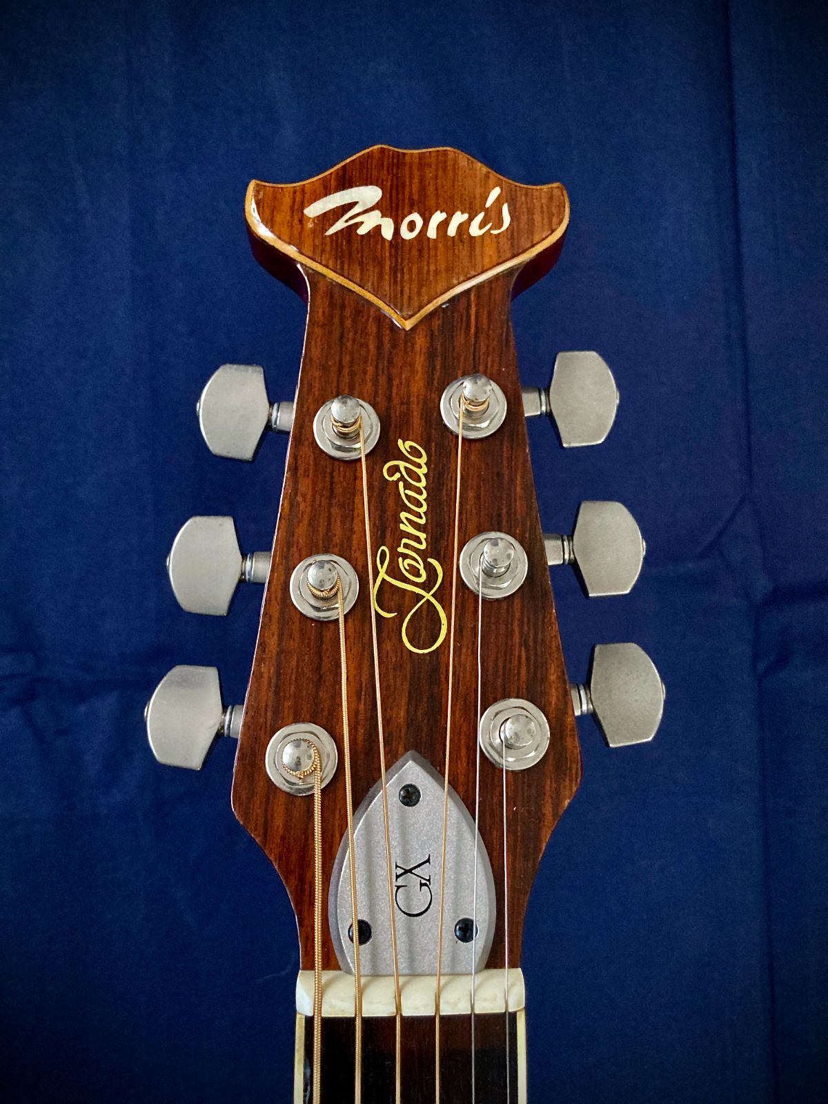 モーリス トルネード GXD 1984 スプルース単板モデル Gseries