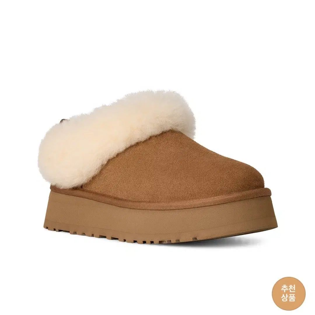 チェストナット 定価