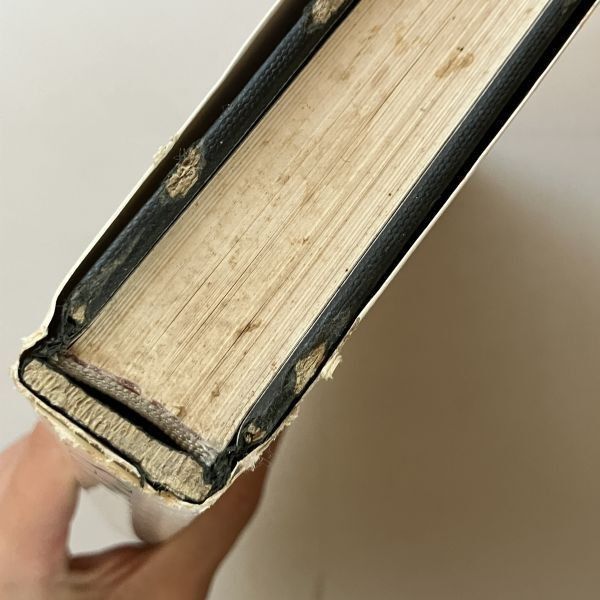 Sam Haskins Fashion Etcetera サムハスキンス 写真集 ☆ サム・ハスキンス 写真集 「Fashion Etcetera」 ☆ SAM