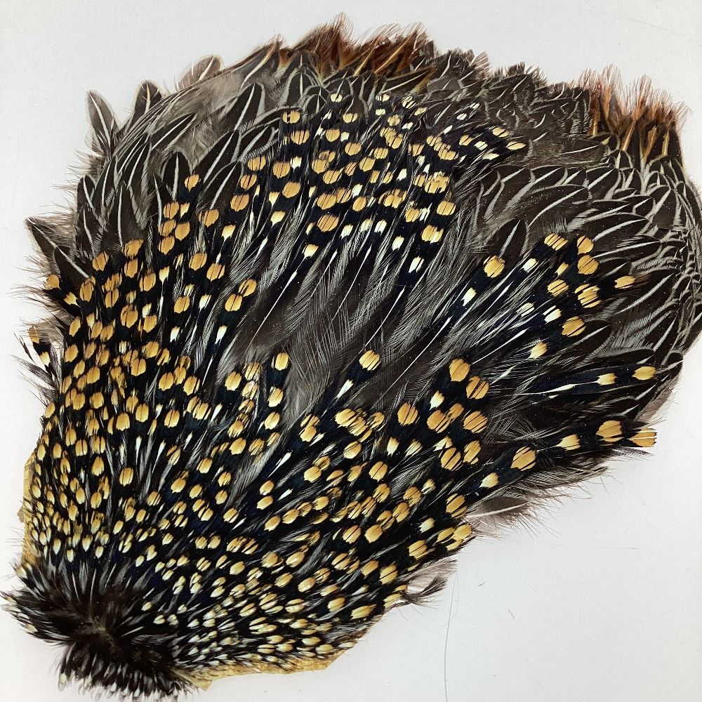 【希少品】フライマテリアル　ジャングルコック キャナル｜フライマテリアル｜ジャングルコック｜Jungle Cock