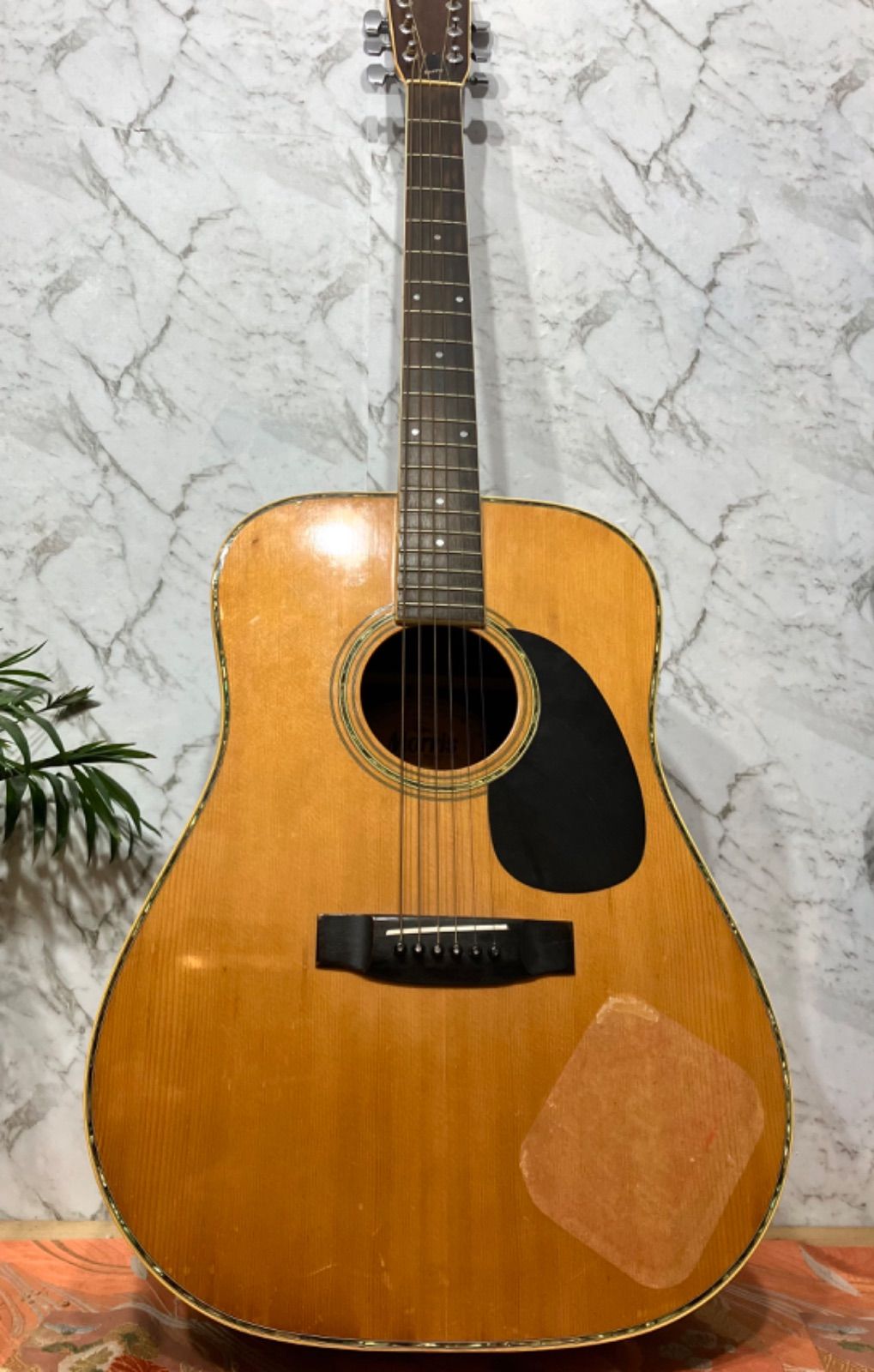 Morris F-25 アコースティックギター ハードケース付き F-25 | 生産完了品 | MORRIS GUITARS モーリスギター