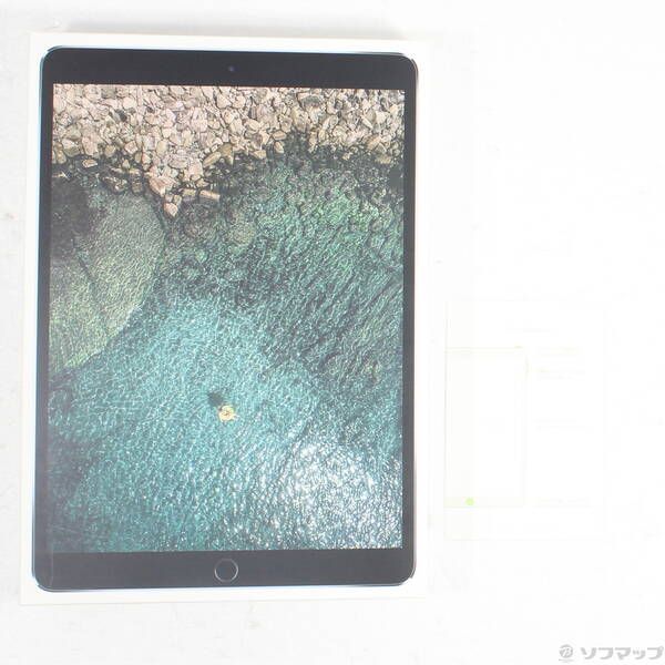 APPLE iPad Pro 10.5インチ Wi-Fi 64GB MQDT2J/A [スペース