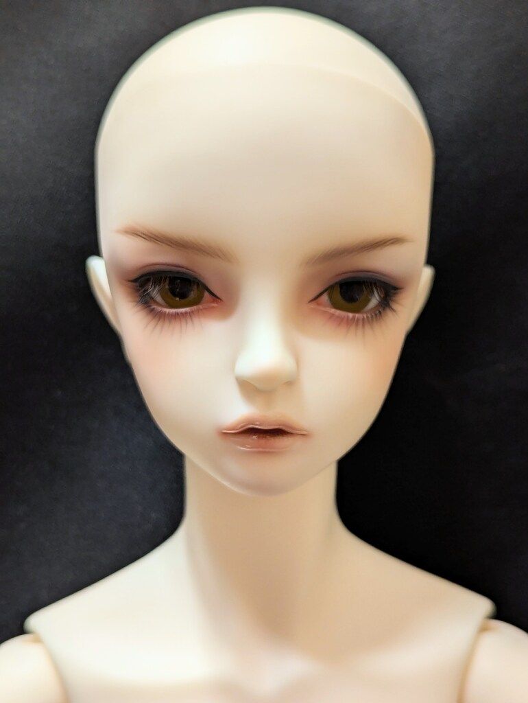 ボークス