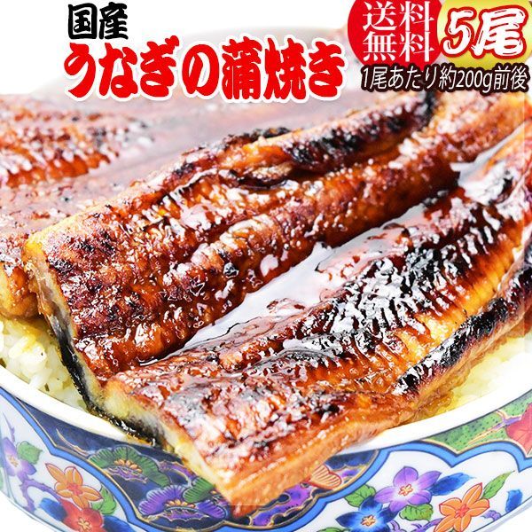 うなぎ蒲焼き約200g前後×5尾 うなぎ 蒲焼き【国産 国内産】炭火焼うなぎ蒲焼 特大 土用の丑の日 宮崎県産・鹿児島県産 ※蒲焼のタレ付