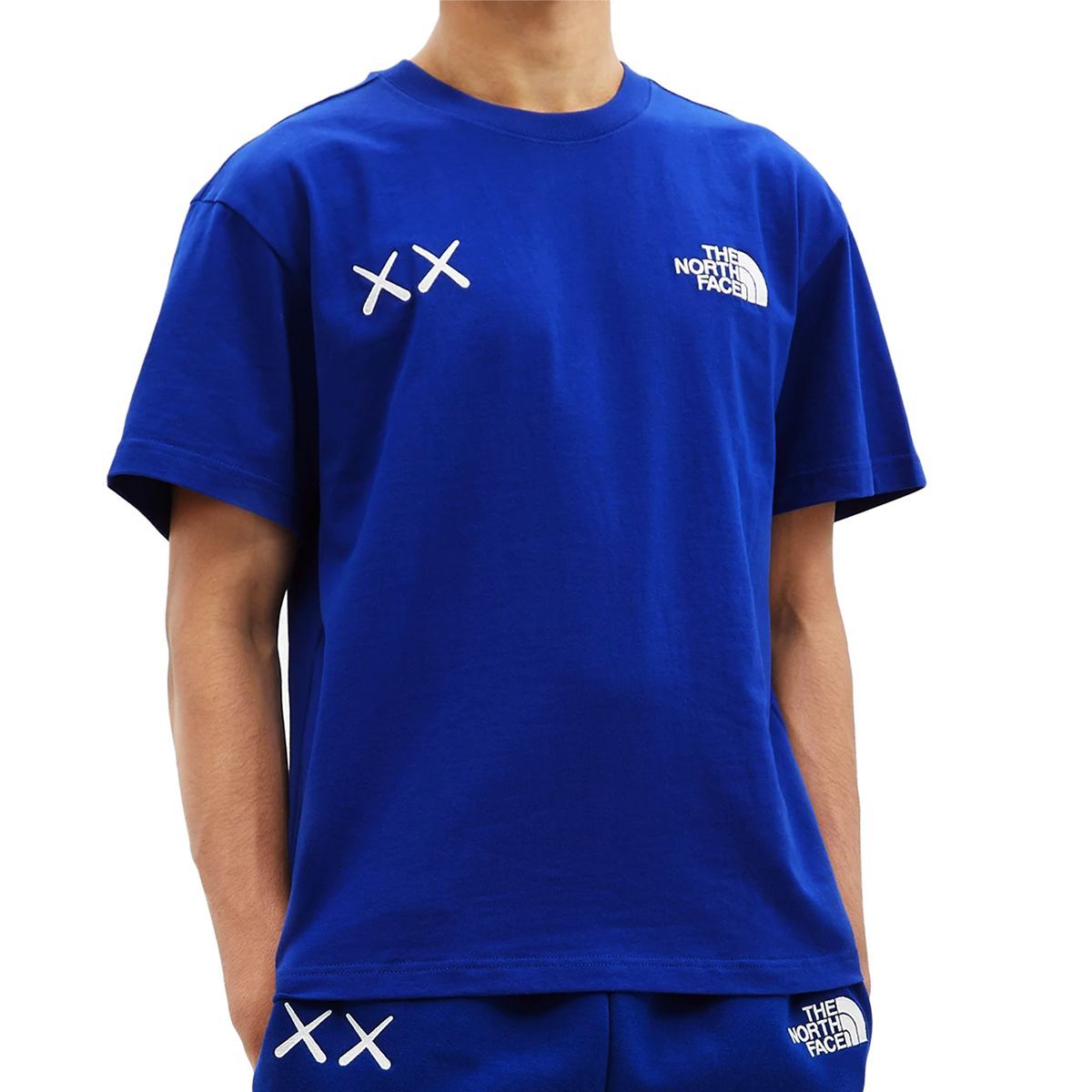 ノースフェイス Tシャツ The North Face KAWS SS TEE ノースフェイス T 