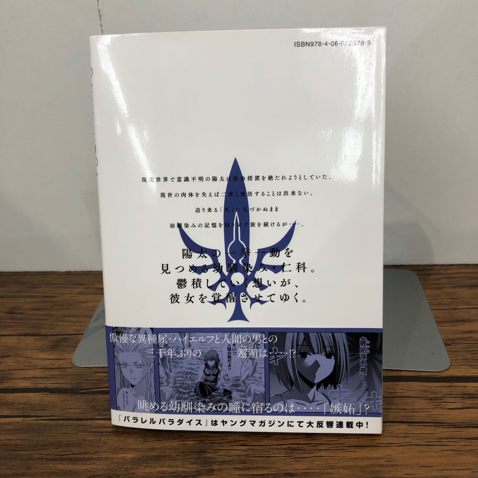 初版』パラレルパラダイス 13巻/【作者】岡本倫/GF-0225023254-YP