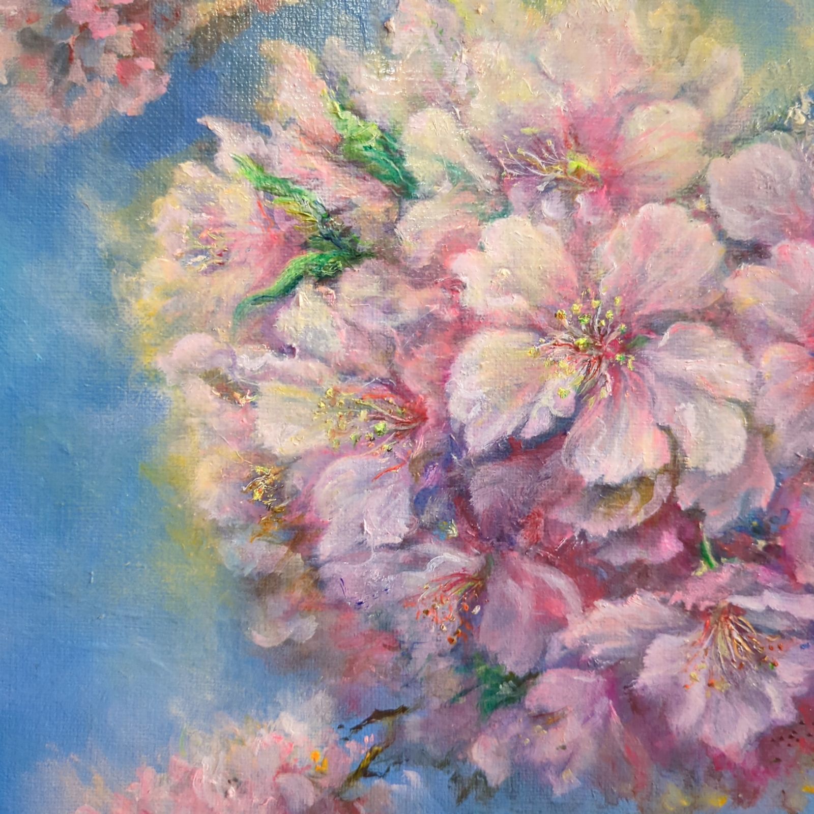 「光を纏う河津桜」SMキャンバス　桜風景画　画家painterTMK本人出品真筆 光を纏う河津桜」SMキャンバス 桜風景画 画家painterTMK本人出品