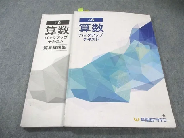 2025年最新】早稲田アカデミー 小6 バックアップテキストの人気