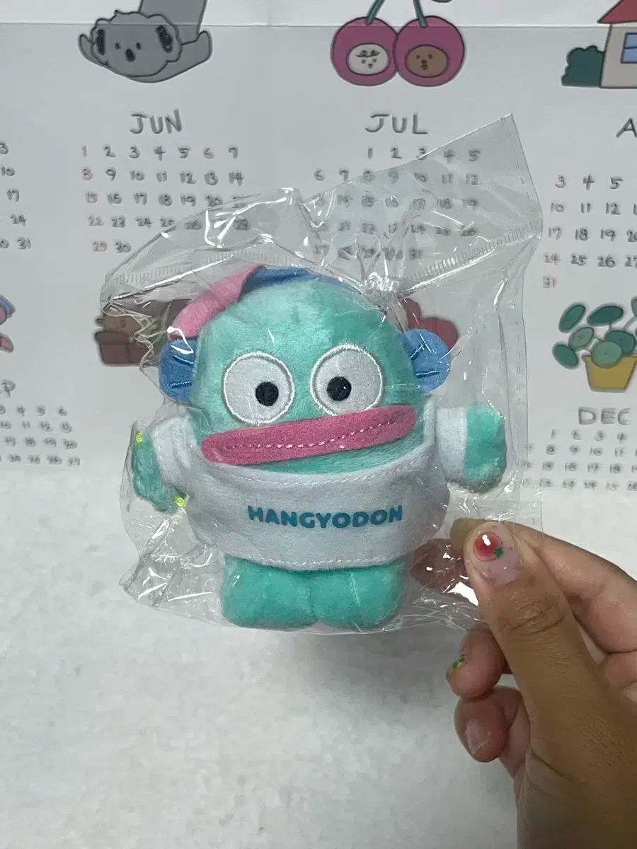 ハンギョドンまとめ売り（31点）