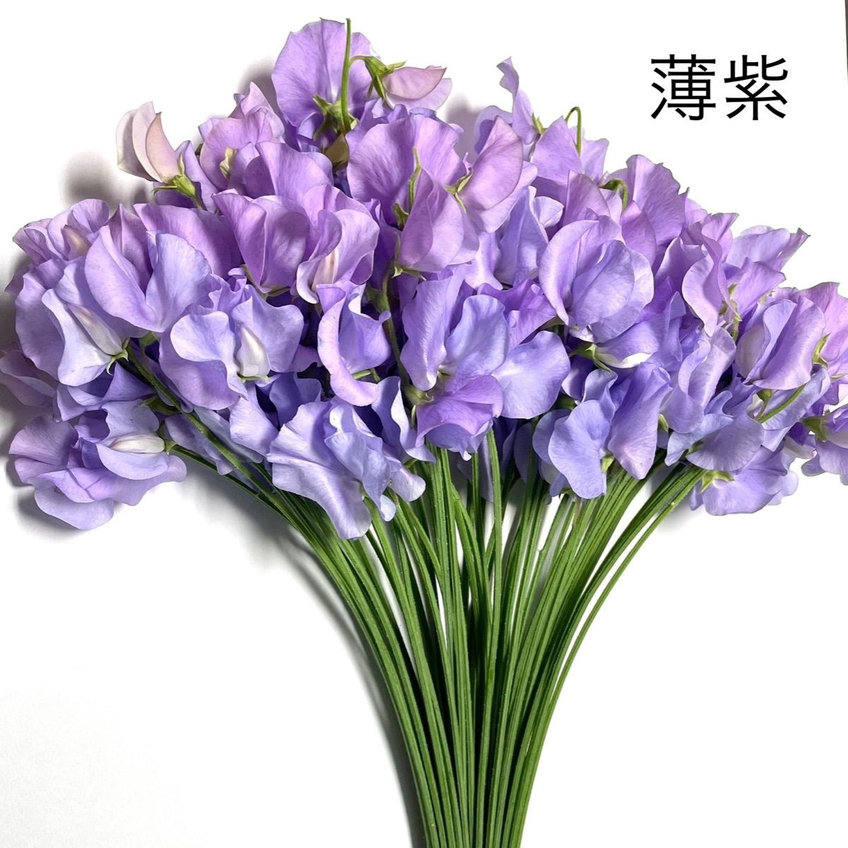 最速