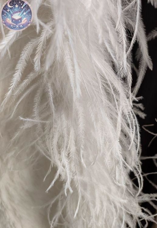 ♥ オーストリッチフロート