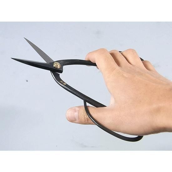 トラッシュノイズ PUNK 帯付き