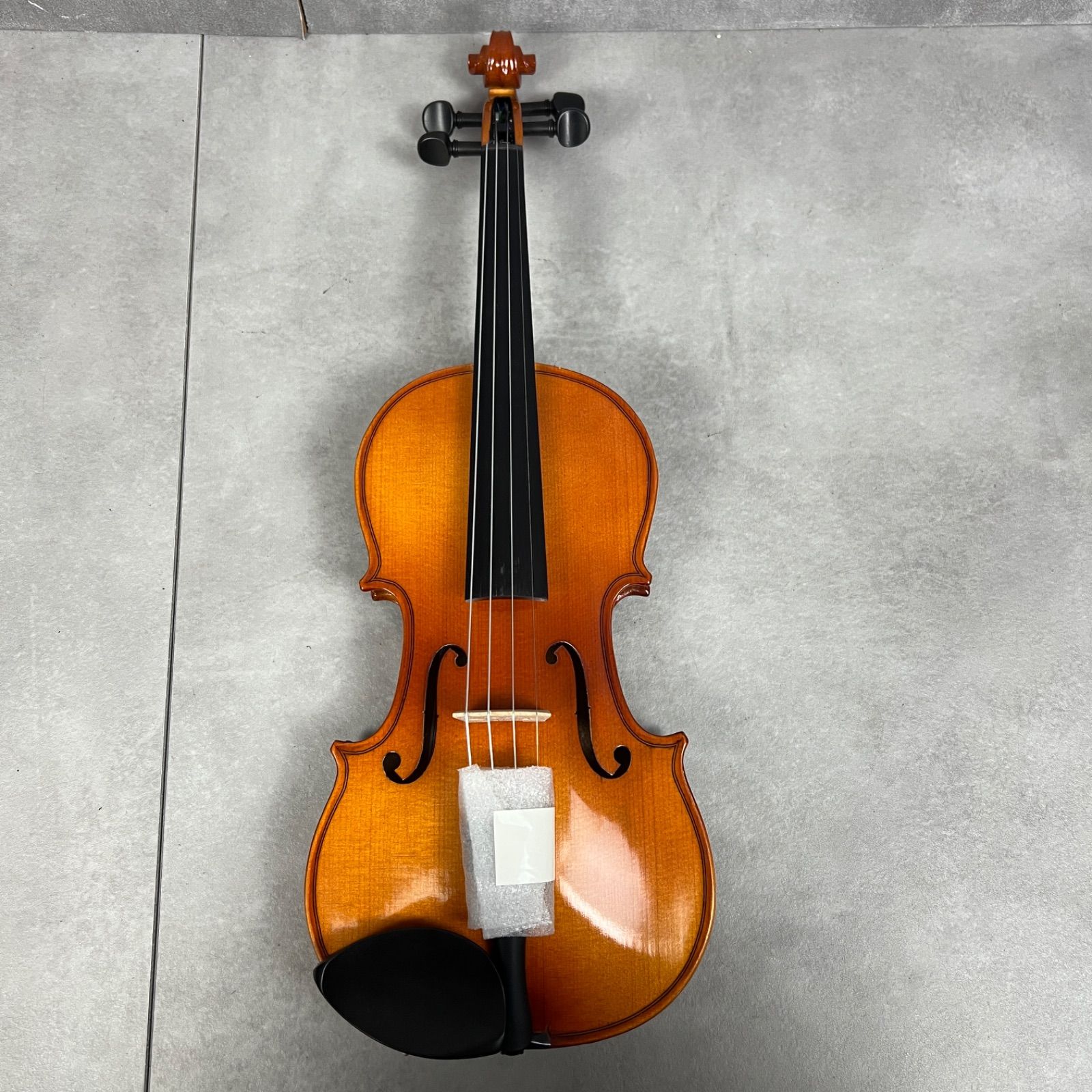 フォローで20％割クーポン配布中 STENTOR ステンター バイオリン StudentⅡ 1 2 弓 2WAYセミハードケース 分数バイオリン スチューデント2 ヴァイオリン 弦楽器 25M9001BO0814