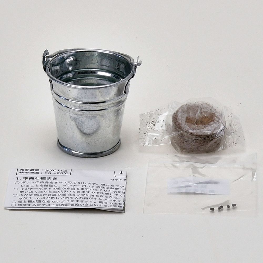 3個セット サボバケツ栽培キット サボテン 栽培セット GD-1034