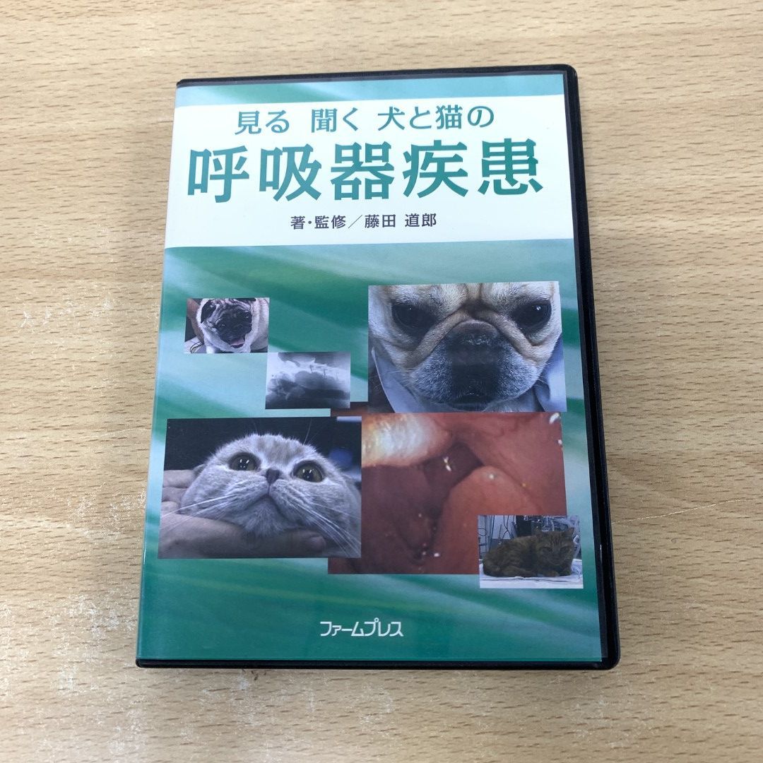 セール 犬 が 見る dvd