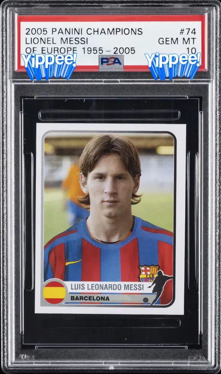 浜口陽三、メゾチント 、緑と紫のぶどう、希少な額装用画集より、新品