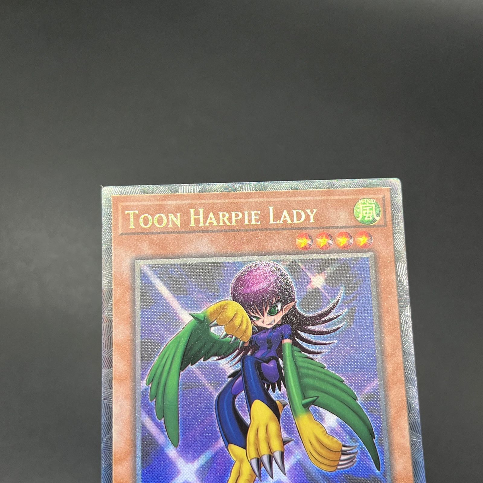 遊戯王 英語 EU版 トゥーンハーピィレディ コレクターズレア 遊戯王 トゥーン・ハーピィ・レディ/コレクターズ/英語/EU版 A