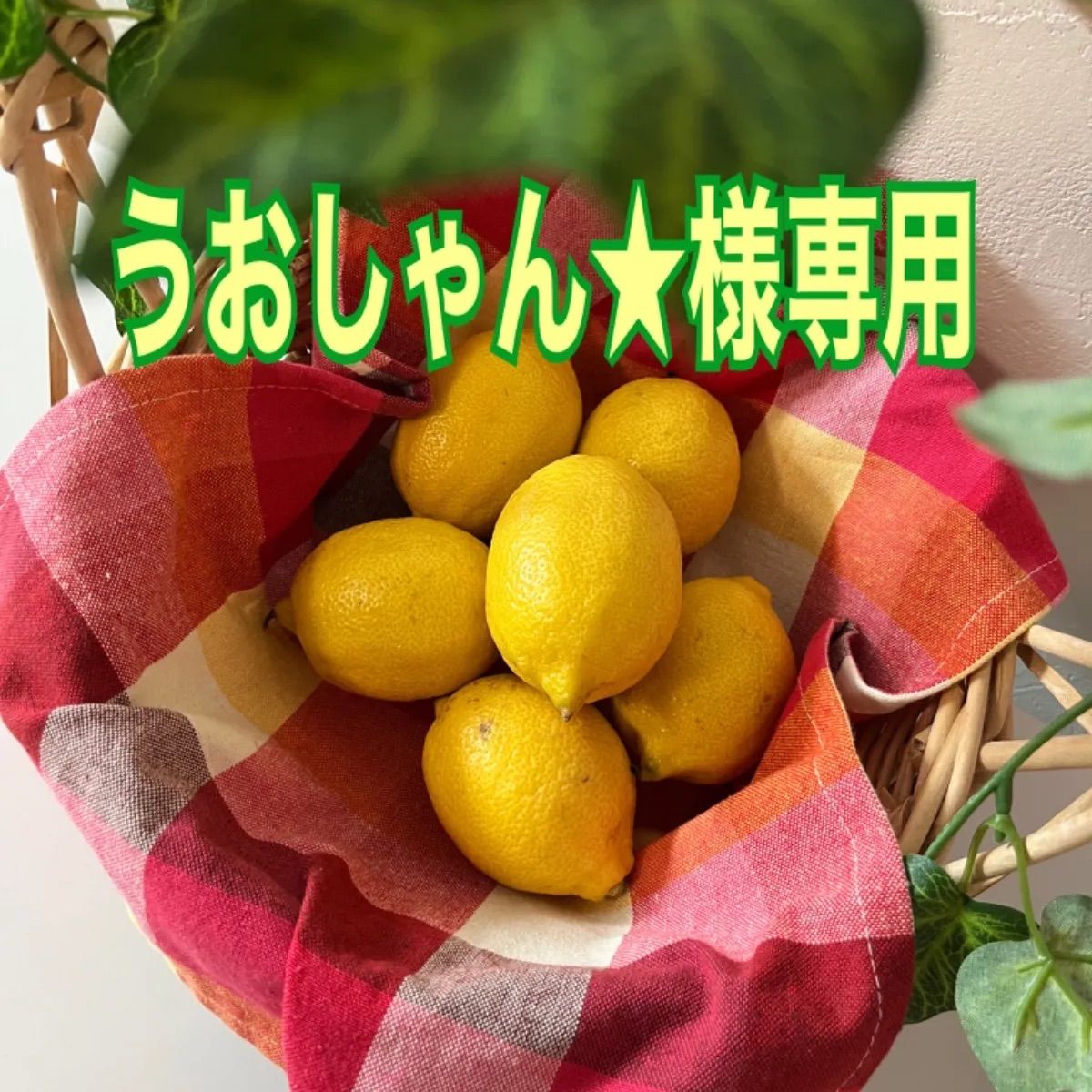 レモン様専用 レモン様専用 れもん様 専用 noa2021さま 専用 レモン5
