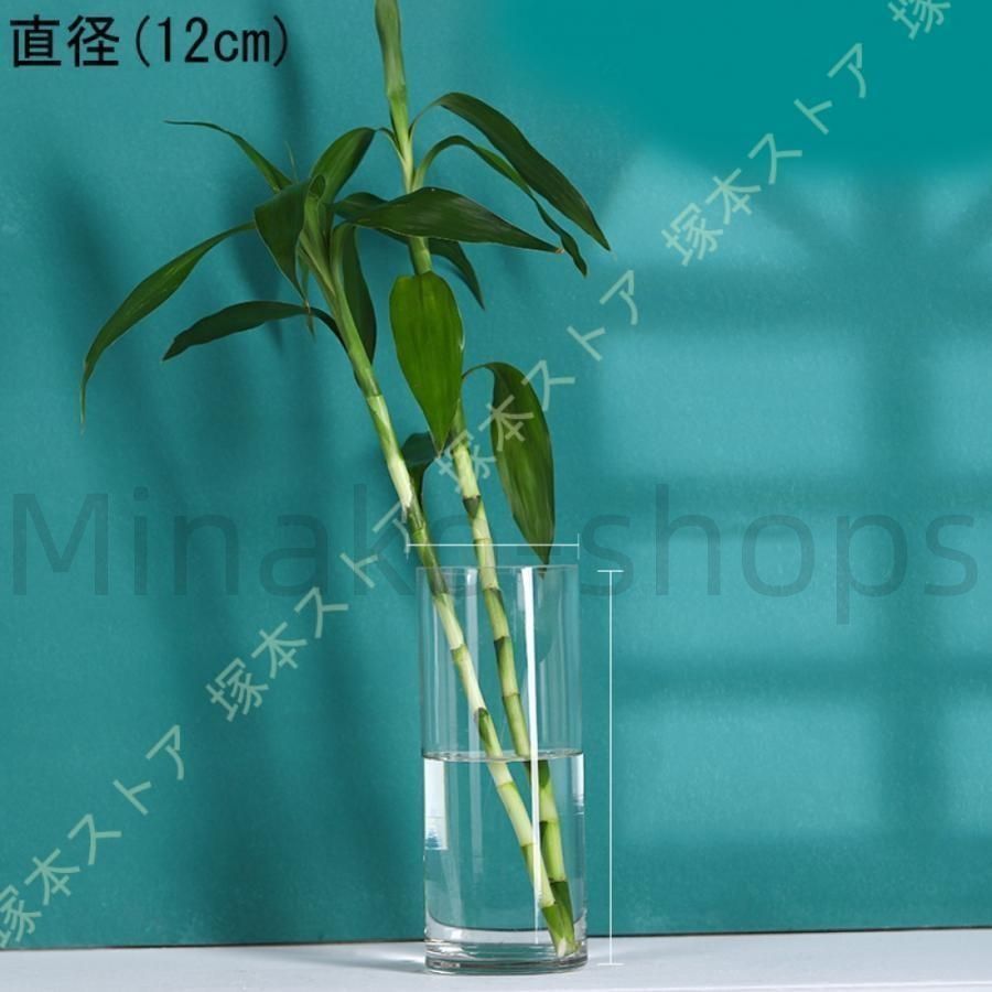 新しい未使用 フラワーベース ガラス 大きめ 花瓶 透明 北欧雑貨 新しい未使用 フラワーベース ガラス 大きめ 花瓶 透明 北欧雑貨