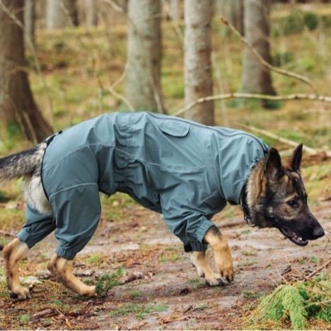 最終値下げ】ルッカ犬用レインコート レインプロテクトオーバーオール