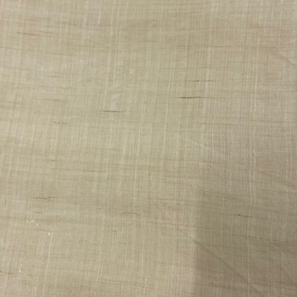 身丈156cm
