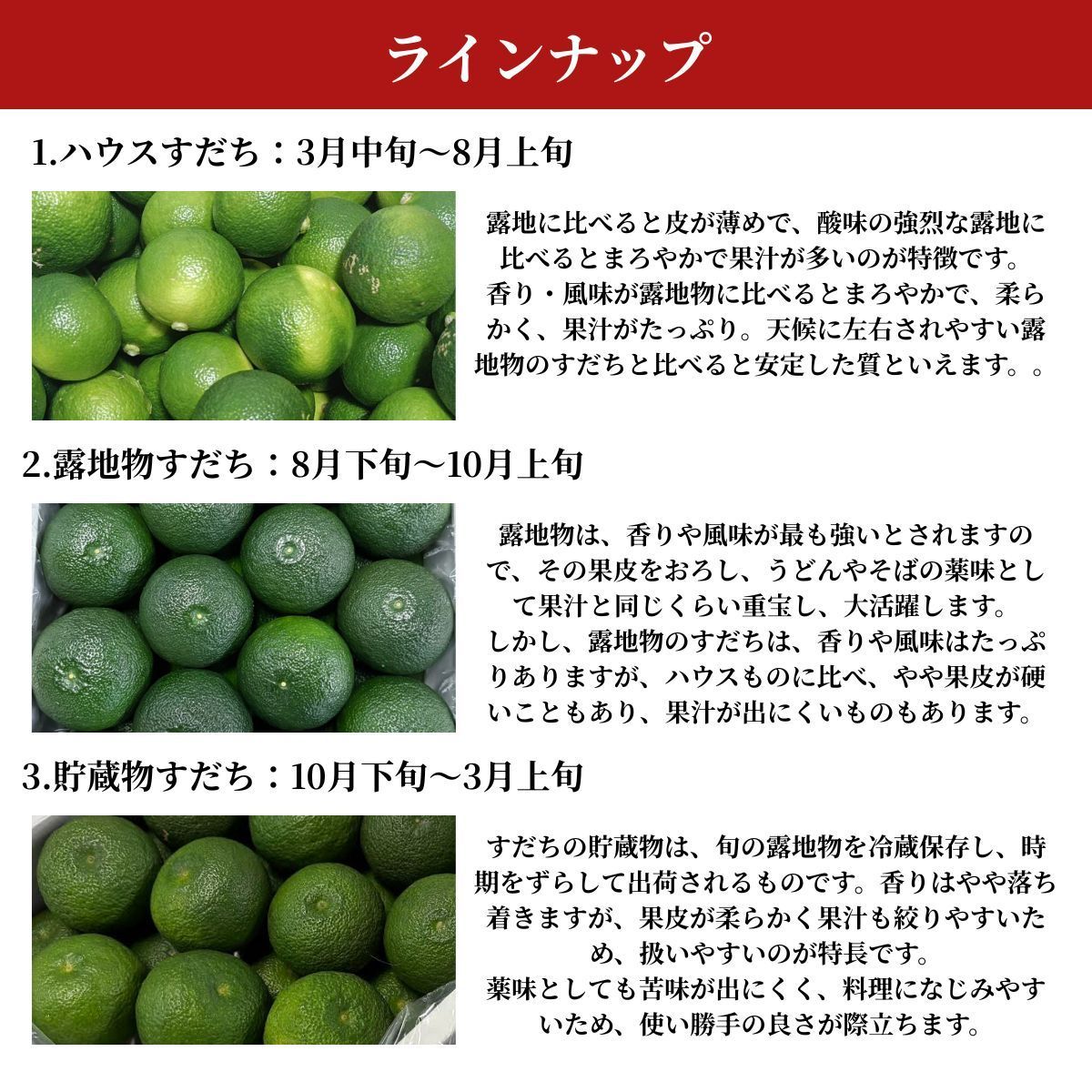 食品 徳島県産すだち2〜4Lサイズ 専用