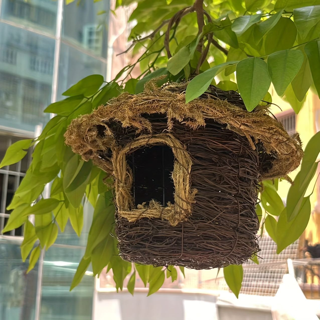 鳥の巣 鳥の巣箱