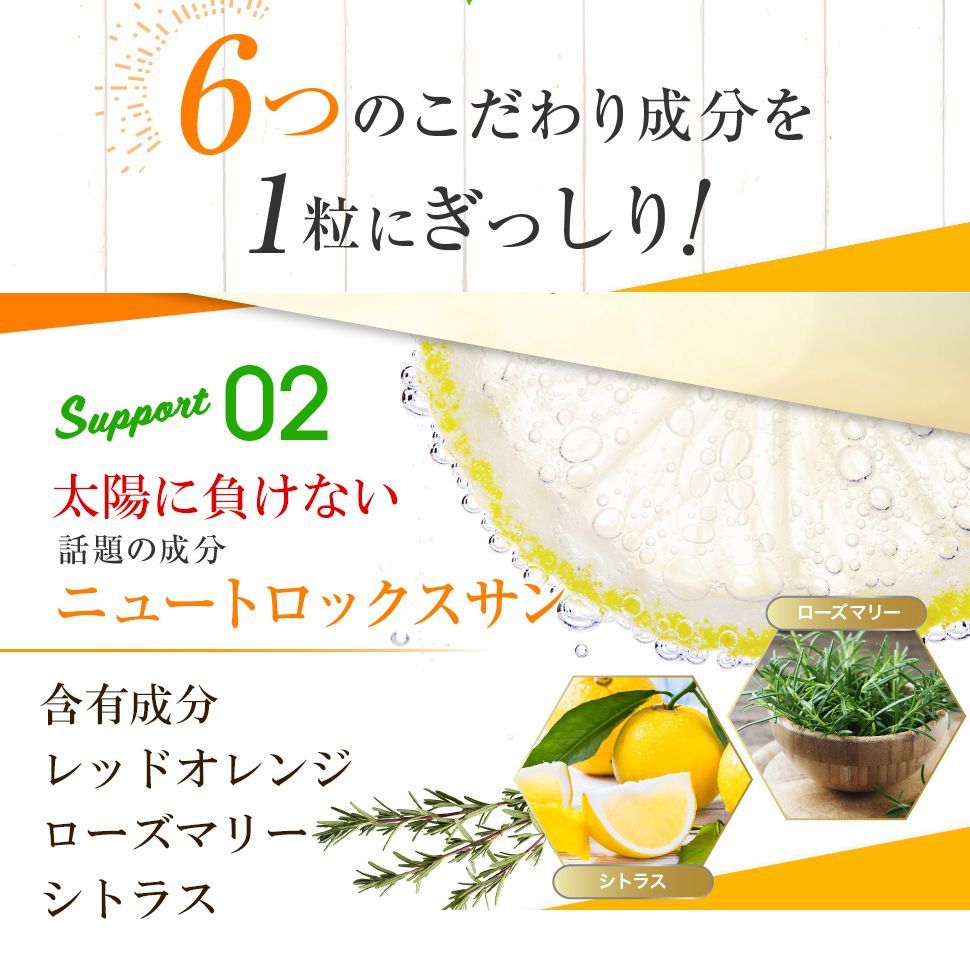 お出かけ対策