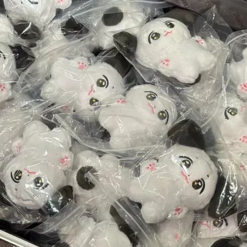 ボイネク 10cm ジェヒョン ぬいぐるみ 新品 マスター boynextdoor