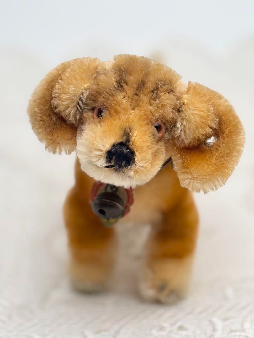 Steiff dachshund - Etsy 日本 【アンティーク】シュタイフ 犬の