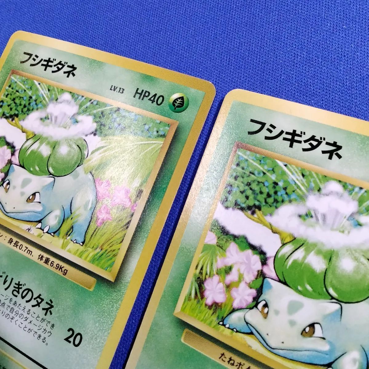 フシギダネ ポケモンカード HP40 LV.13 初版　マークなし フシギダネ HP40 LV.13 マークなし